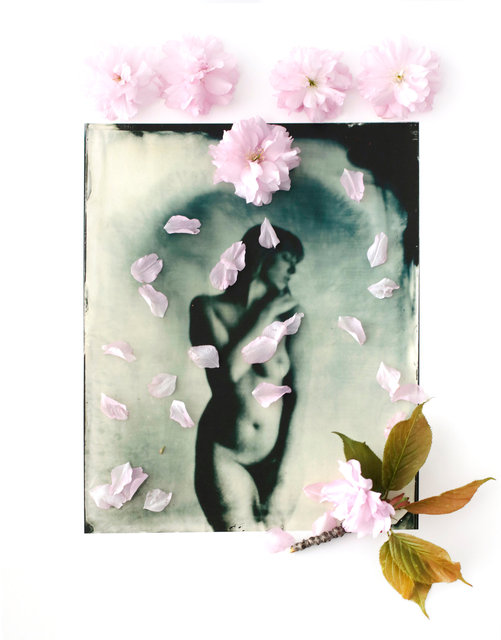 FLOWERS_1_053.JPG
