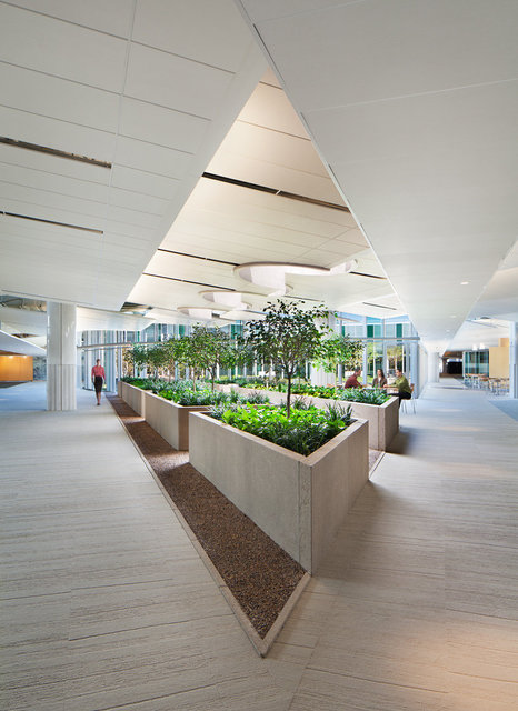 GSA Federal Building by Jonathan Levi Architects