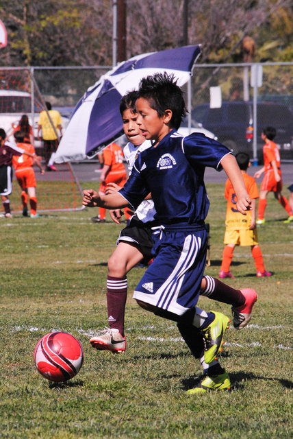 Lena_SMU2013-0938.jpg