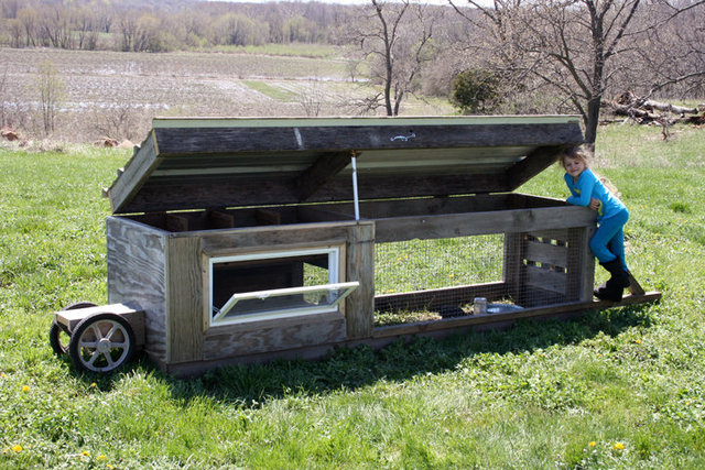 Mobile chicken coop