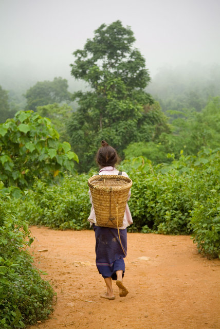 Laos but not Forgotten