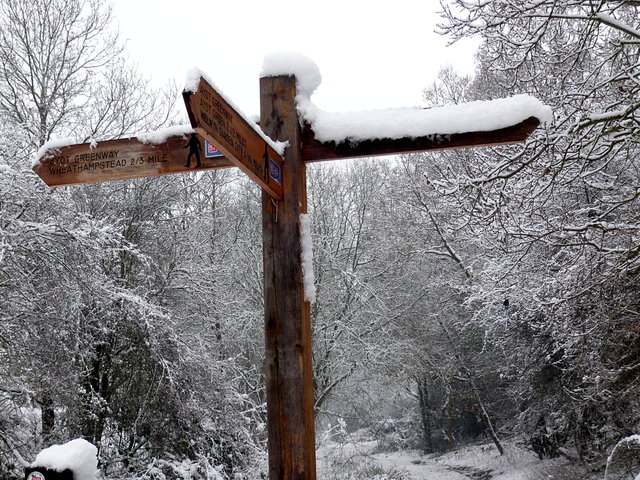 Snow on Ayot Greenway (13) VB.JPG