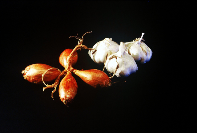 Echalottes et oignons - 1999
