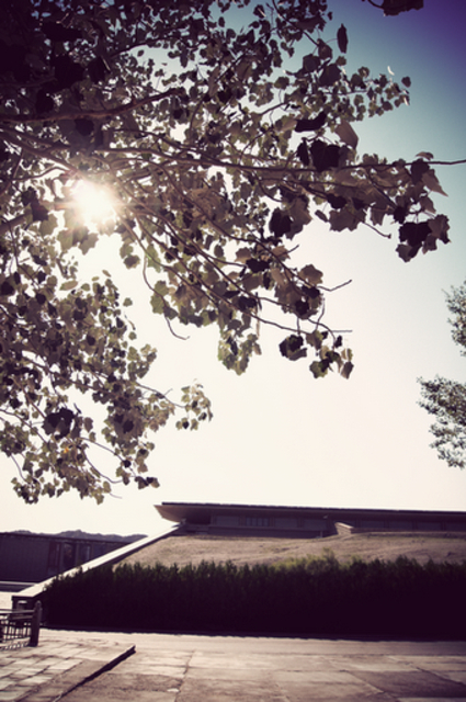 DSC06923.JPG_effected (2).png