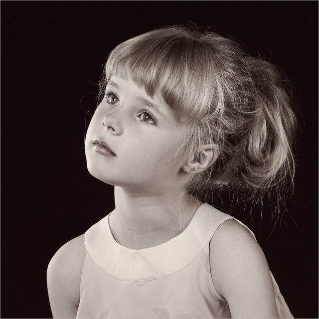 Copyright SE Fotografi