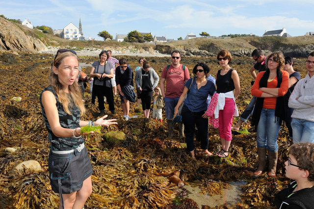 Ouessant, Ondine Morin, guide nature