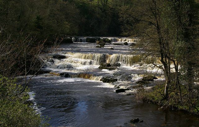 Aysgarth Falls High Force (7) VB.JPG