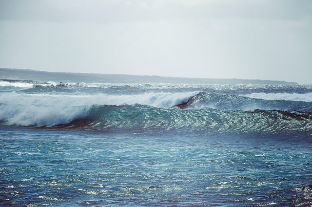 _DSC3516.jpg
