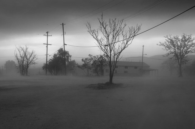 KeithSkeltonDesert (4 of 5).jpg