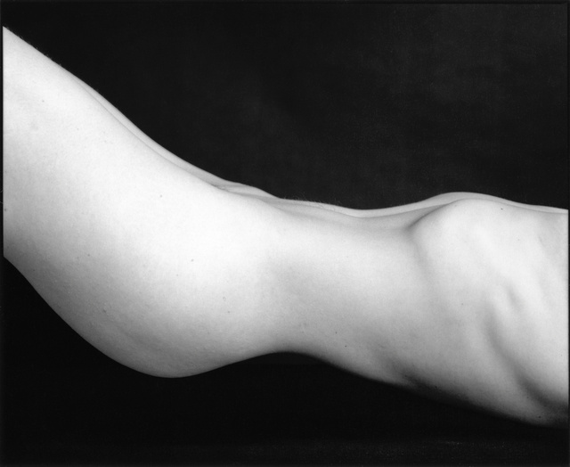 Deb wave, double line (cleaned better) 600dpi.jpg