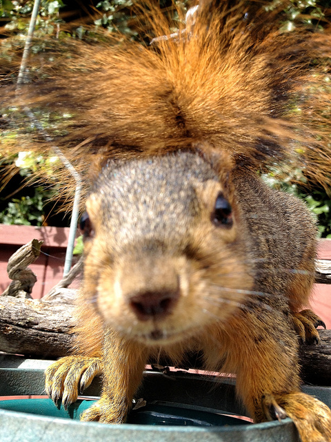 HI! Got any snacks for me?