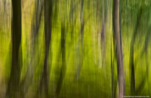 emoriya_homelandscape_web_Eternal_shake.jpg