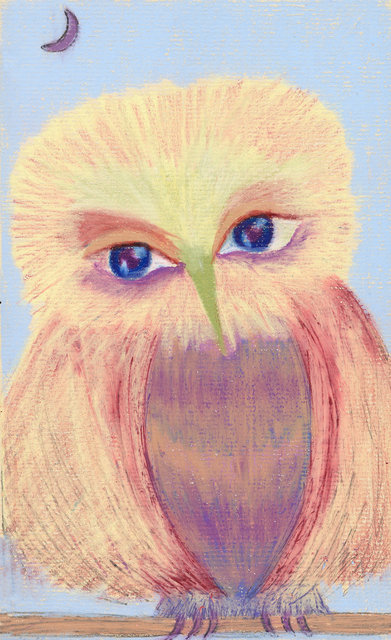 Gentle Owl