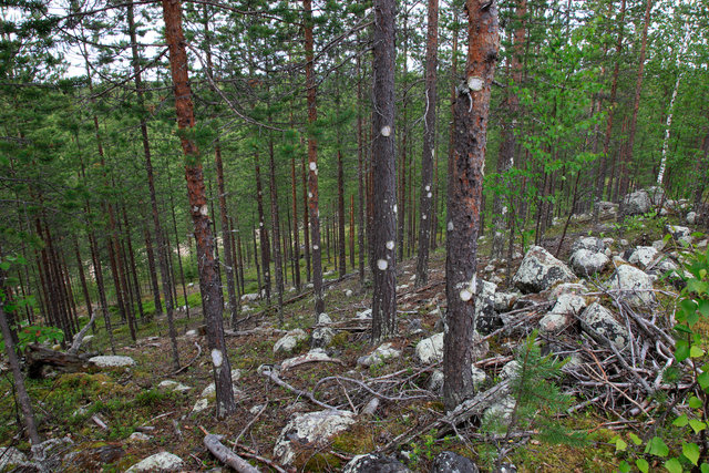 _MG_5705.jpg