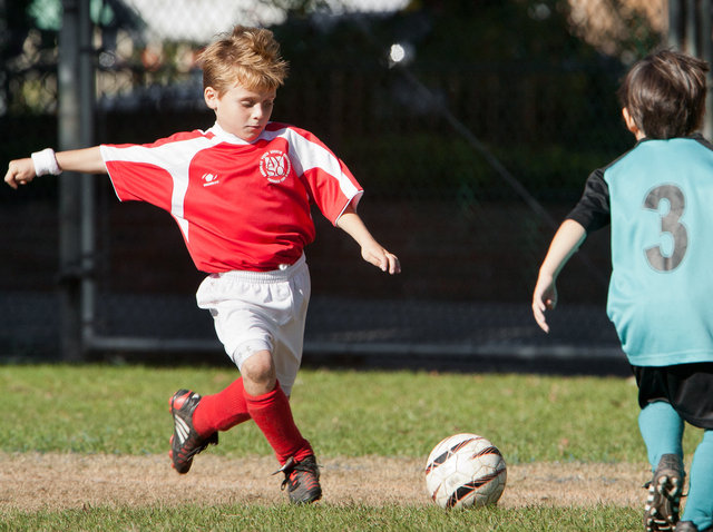 2010 Santa Monica AYSO U8B Hot Shots
