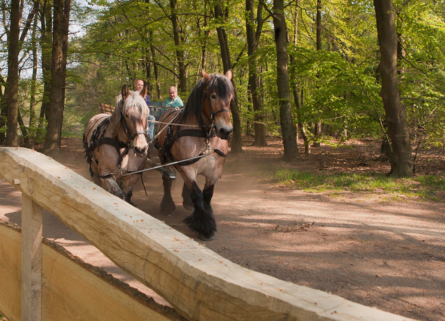 Mennen is Vertrouwen