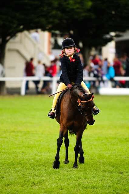 Dublin Horse Show, RDS