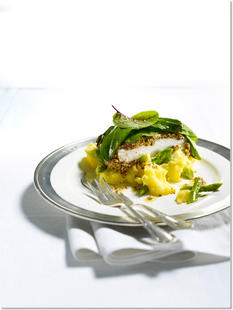 Magazin: Healthy Living