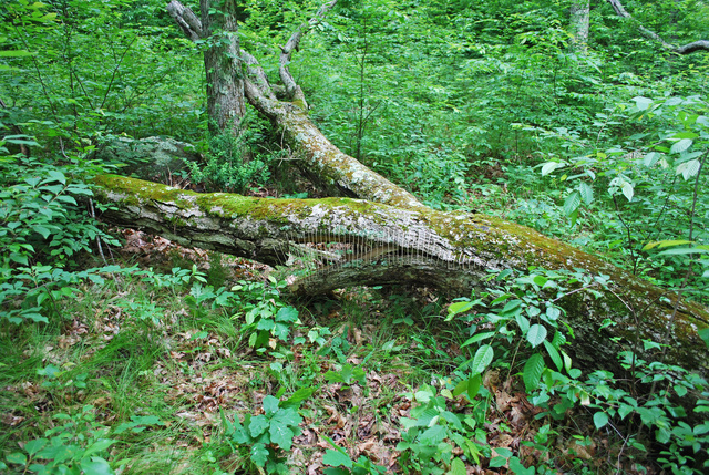DSC_4449.jpg