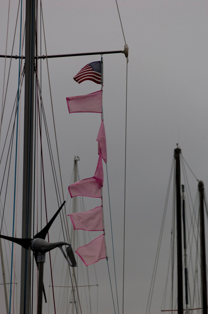 Journey. <a href="http://www.thepinkboat.org" target="_blank">(www.thepinkboat.org)<a>