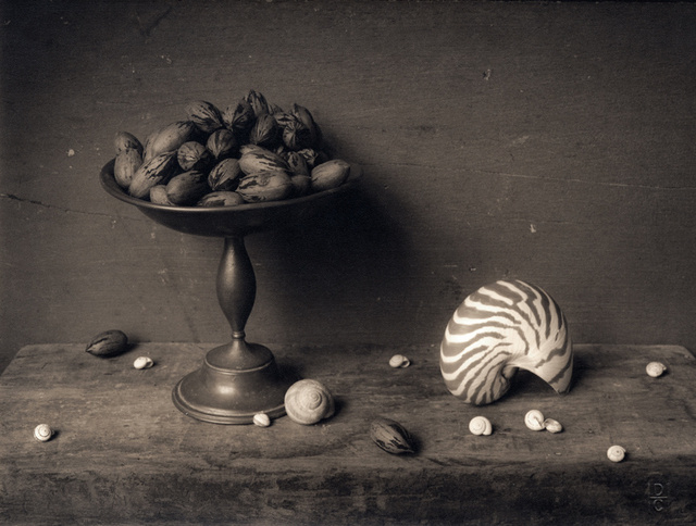 Pecans & Shells,c  2003