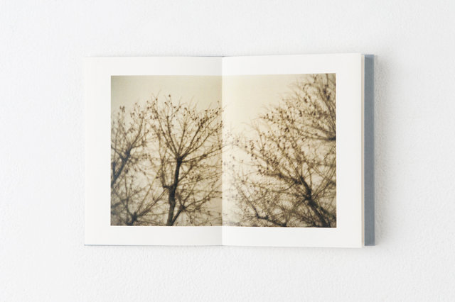 encounters, 33 pages, accordion book. Published by Datz Press in 2015.