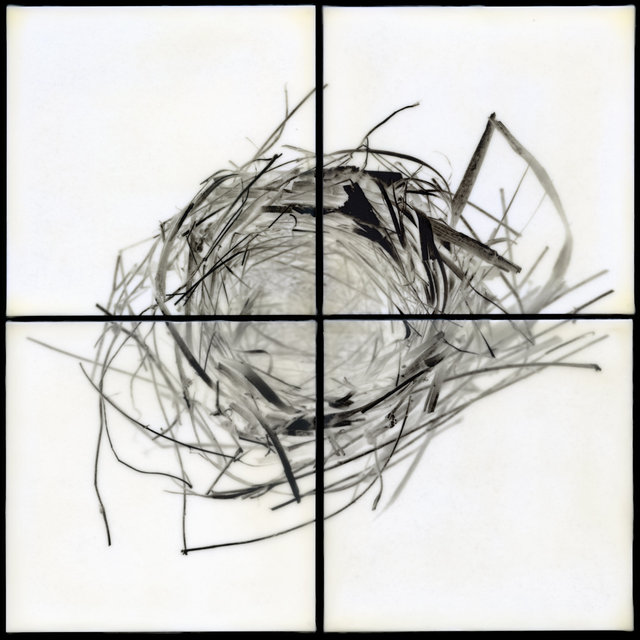 Nest VI