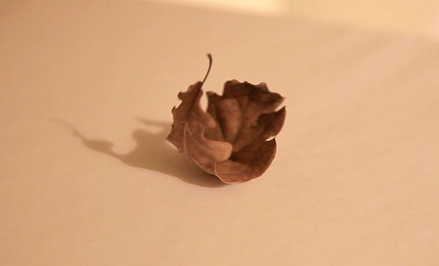 Skärmavbild 2013-03-21 kl. 13.17.50.jpg
