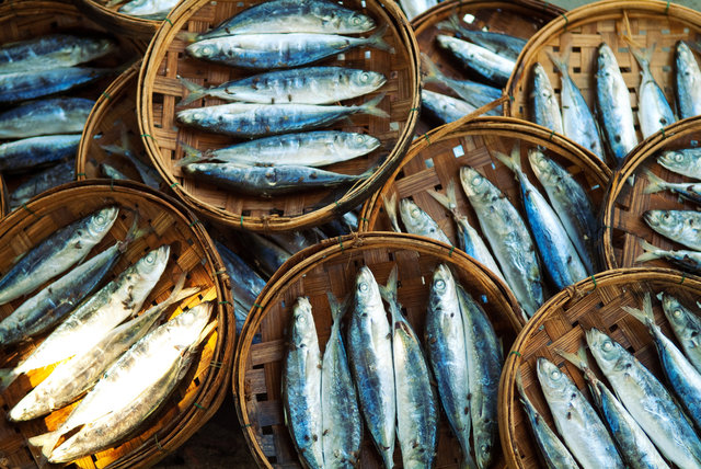 Dried Salt Fish