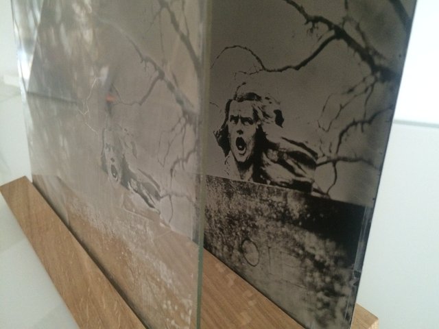 Installation-VERDUN IN MEMORIAM-collodion-012.JPG