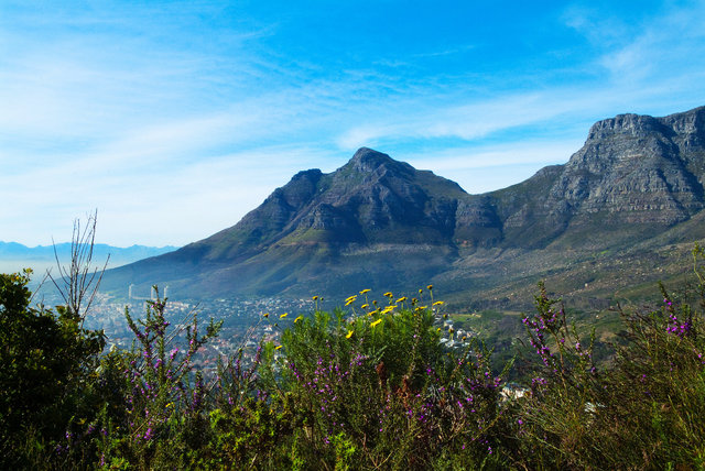 Table Mountain