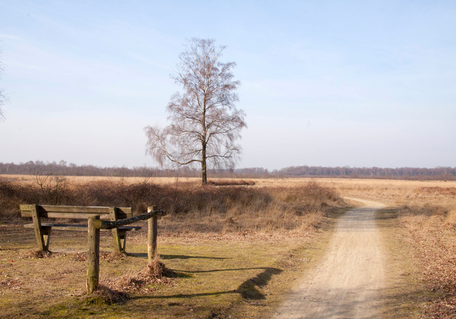 Haaksbergerveen.