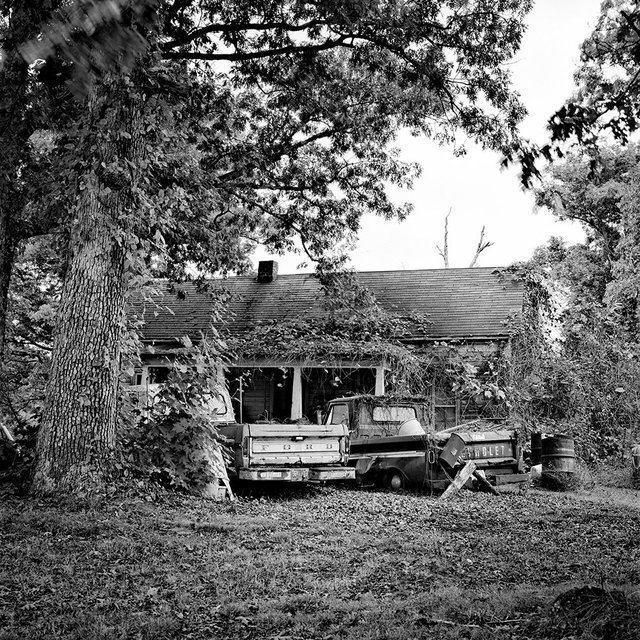 Logsdon Valley Road, Munfordsville, KY