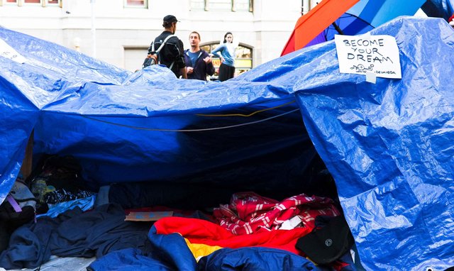 OWS-1.jpg