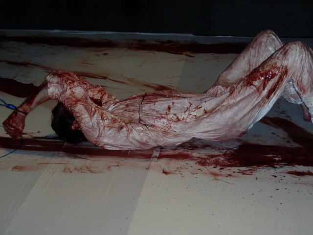 sensation 003 (1).jpg