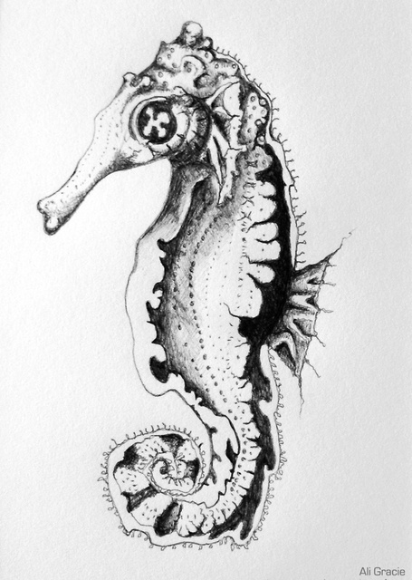 Seahorse 2 by Alison Gracie