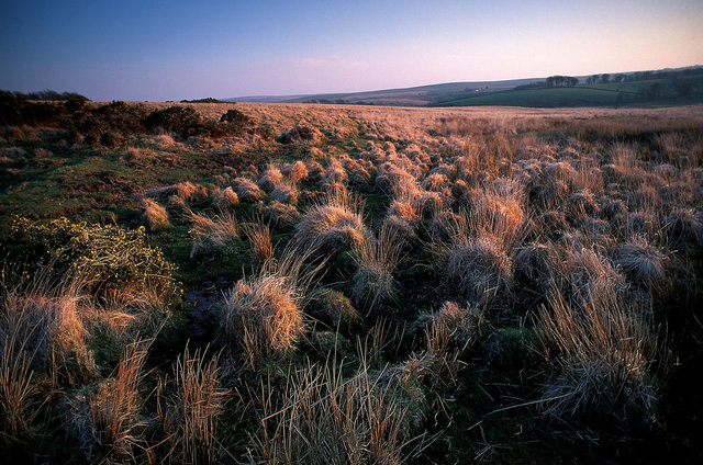 Landes du Dartmoor, Devon, Angleterre