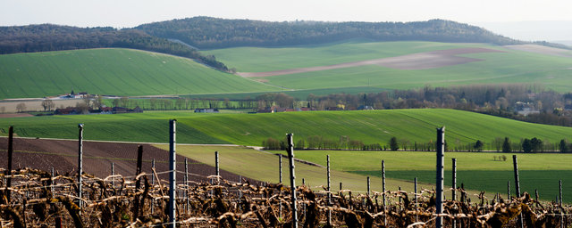 Fontaine-sur-Ay, Champagne-Ardenne, 2012