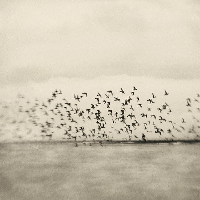 The Search
