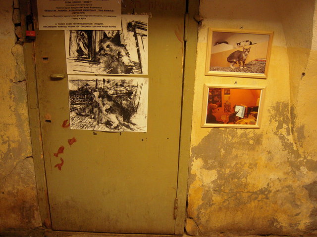 DSCN5930.JPG