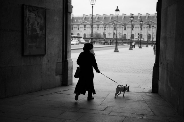 At the Louvre