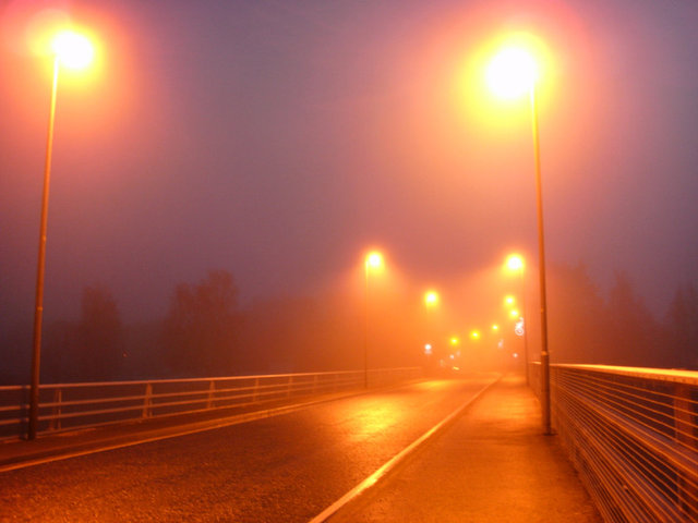 Christmas Lights by Alison Gracie