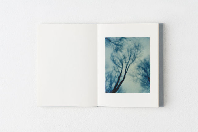 encounters, 33 pages, accordion book. Published by Datz Press in 2015.