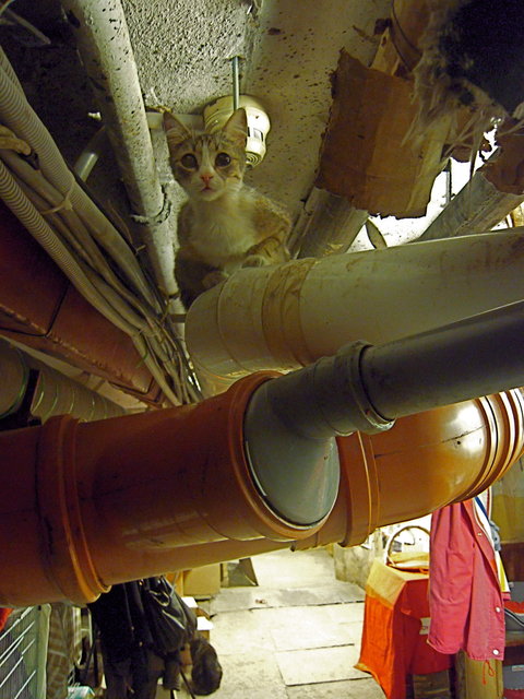 DSCN5676.JPG