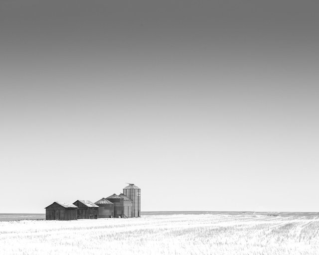 150209-8372.jpg