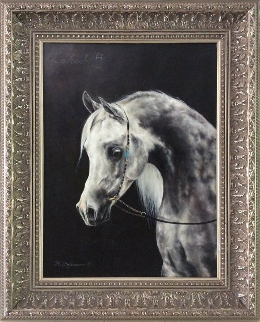 Ogier arabski Laheeb 45x33,5 olej deska