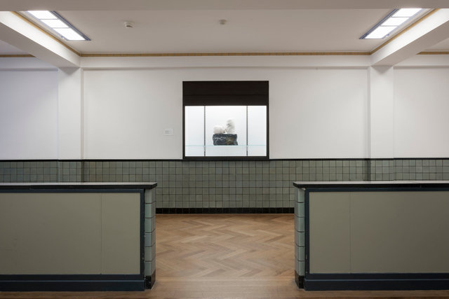 Gemeentemuseum Den Haag 2014/2015