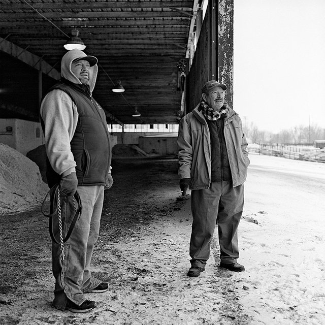 The Thoroughbred Center, Lexington, KY