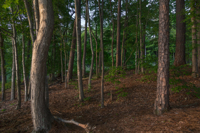Raleigh, Wake County, North Carolina