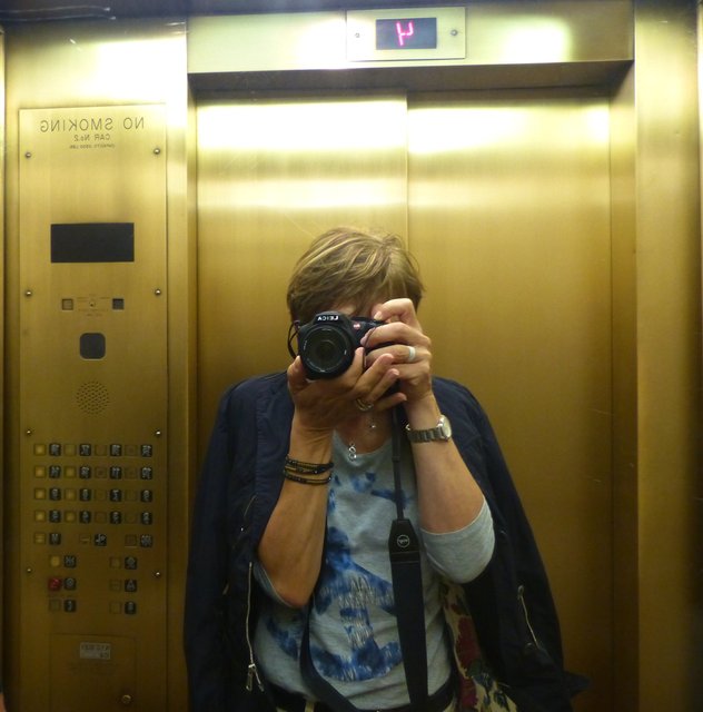 The Roosevelt Hotel, Manhattan - NYC
